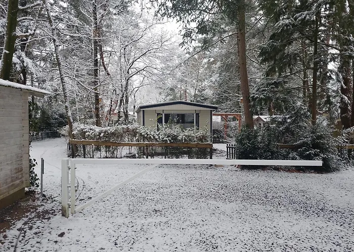 Chalet In Hattemerbroek 'Boshuisje Dennenrust'