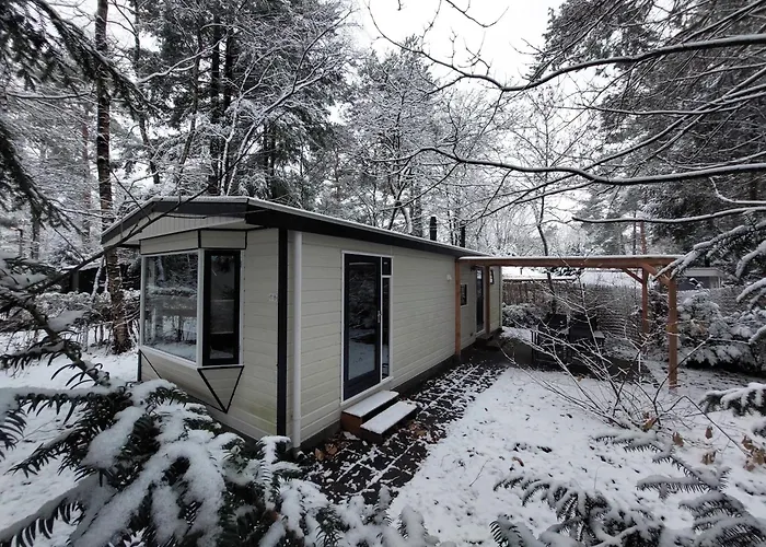 Chalet In Hattemerbroek 'Boshuisje Dennenrust'