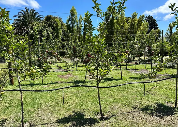 Apple Cottage