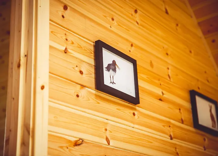 Secluded Countryside Cabins With Bookable Sauna, Dark Skies & Stream Fell Farm Hideaway