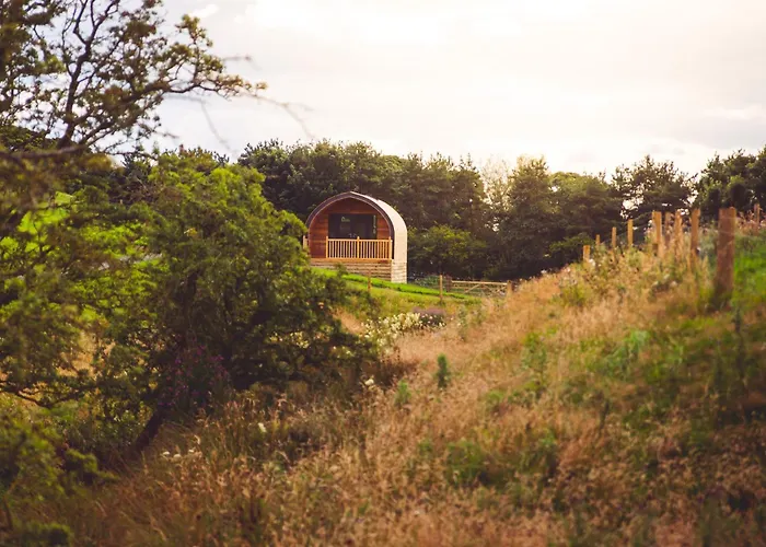 Secluded Countryside Cabins With Bookable Sauna, Dark Skies & Stream Fell Farm Hideaway
