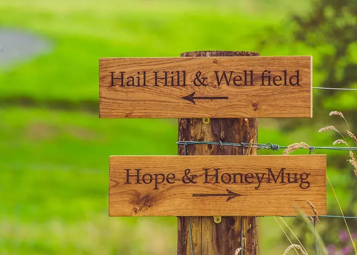 Secluded Countryside Cabins With Bookable Sauna, Dark Skies & Stream Fell Farm Hideaway