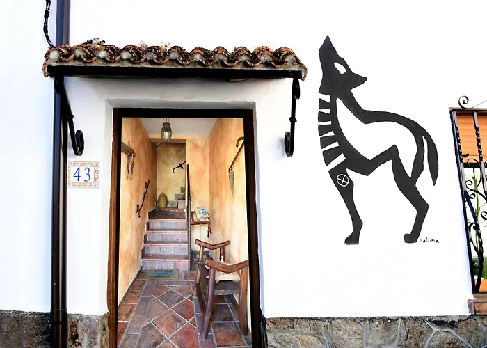 Perros hoteles Casa Vaélico