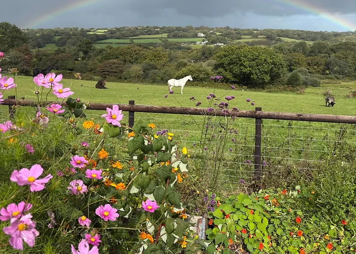 Moorland Breeze