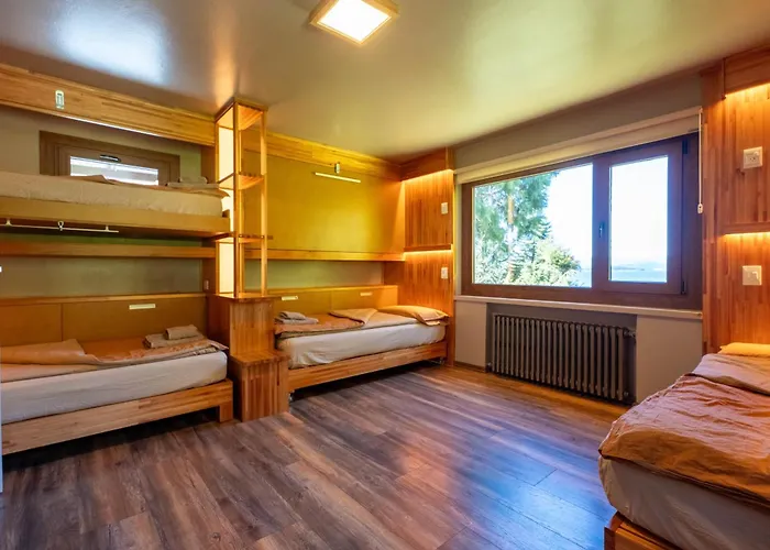Arrayanes