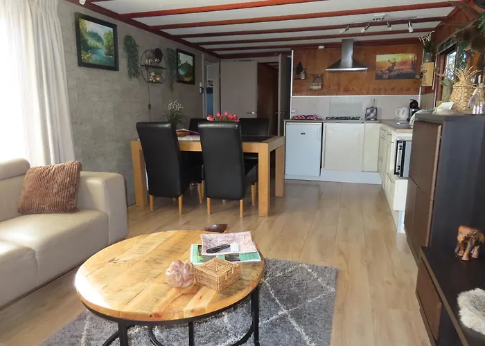 Veluwe Park Reewold Chalet Vision