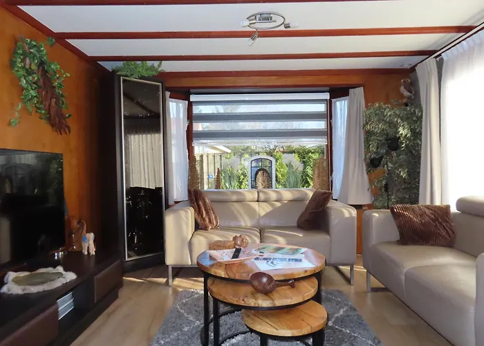 Veluwe Park Reewold Chalet Vision
