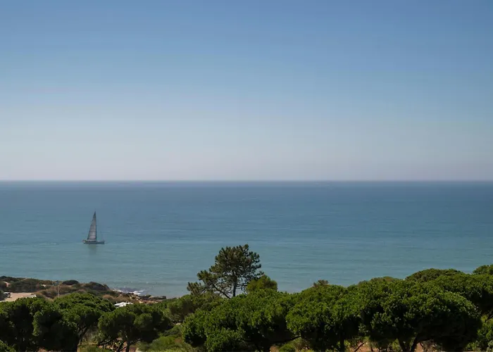 Pet Friendly hotel: W Residences Algarve