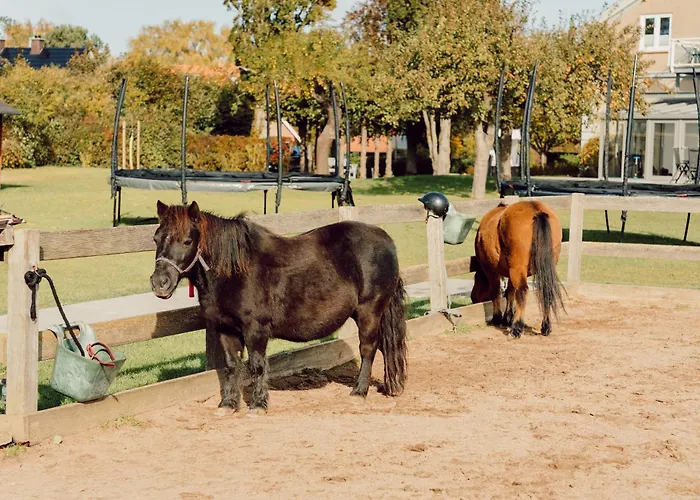Büdlfarm - Der Familien-Erlebnishof in Strandnähe