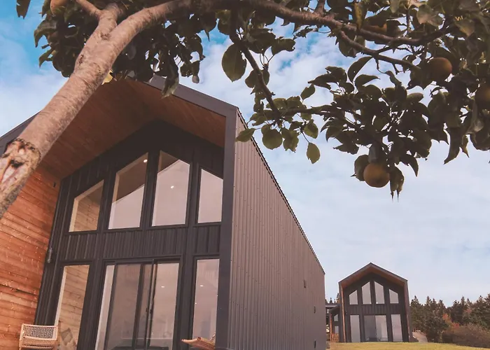 Modern Nordic Cabin 1 W/ Hot Tub & Views