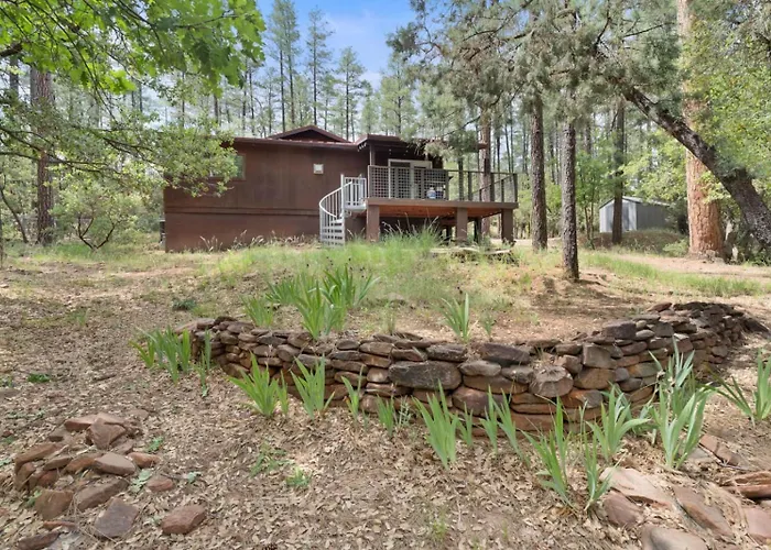 Summers Rest Mountain Cabin In The Pines