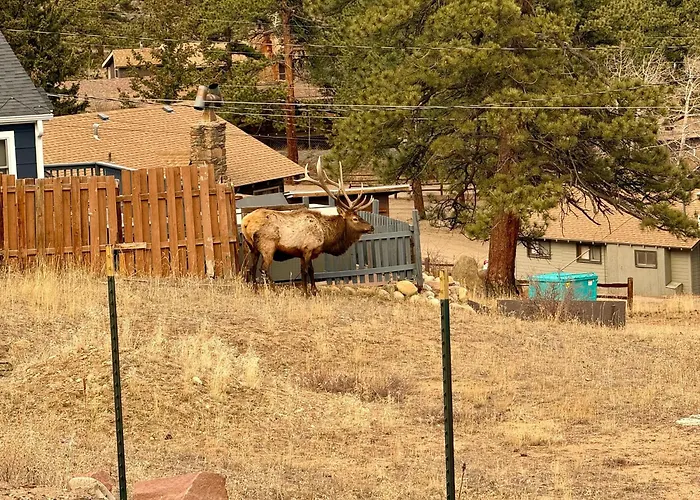 The Overlook At Eagle Cliff Estes Park Mountain Retreat W Hot Tub & Outdoor Bar