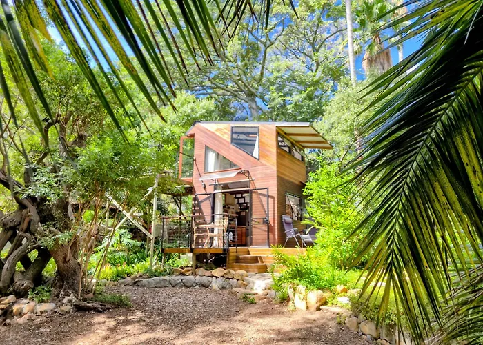 Zencapetown Forest Retreat