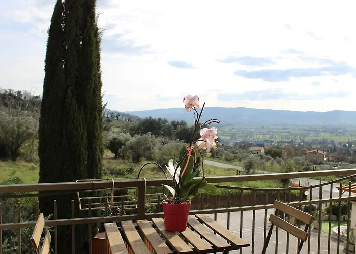 Hotel con piscina: Viole Country Hotel