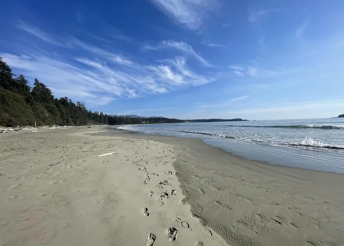 Cozy Cabin Near Walking Trails And Beaches!