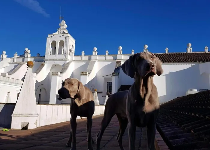  Convento do Espinheiro, Historic &Spa