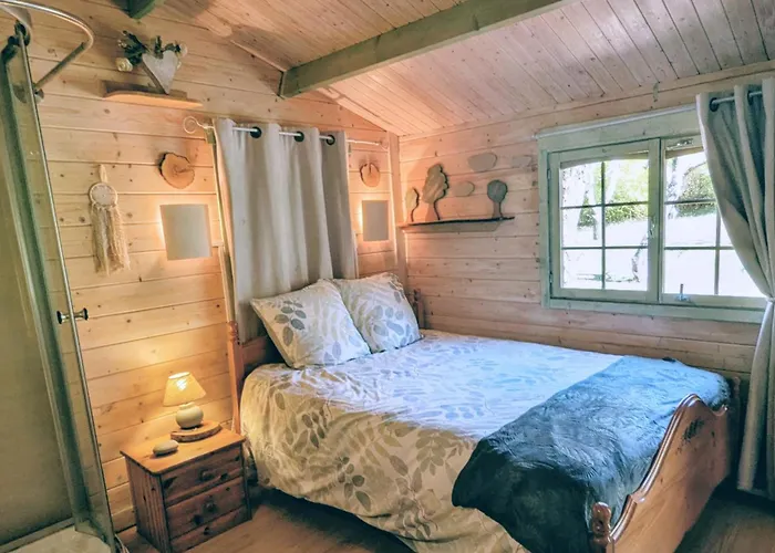 Chalet Vallespir Au Fil De L'Eau Immersion Nature