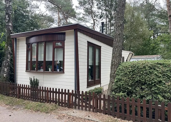 Viooltje In Het Bos I Knus Chalet Op De Veluwe