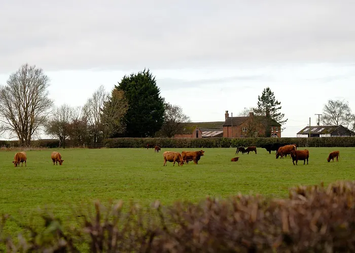 Splash Leys A Peaceful Getaway In Beautiful Surroundings