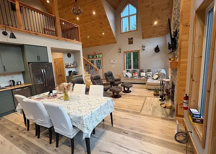Pampered Bear'S Den