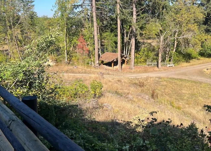 Deluxe Chalet Retreat Near U Of O Eugene Or Large Groups Welcome Sleeps 16 Pet Stay Free