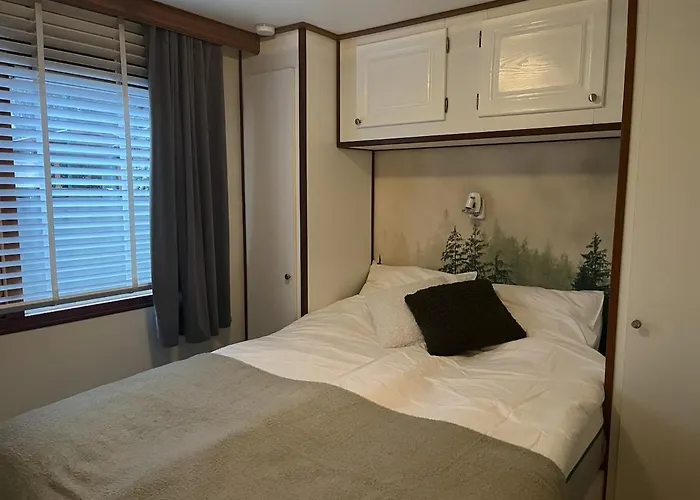 Viooltje in het bos I Knus chalet op de Veluwe