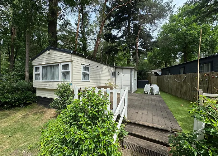 Tante Truus - Rustig natuurhuisje met sauna op de Veluwe