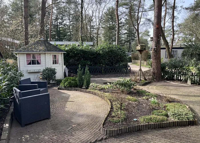 Viooltje in het bos I Knus chalet op de Veluwe