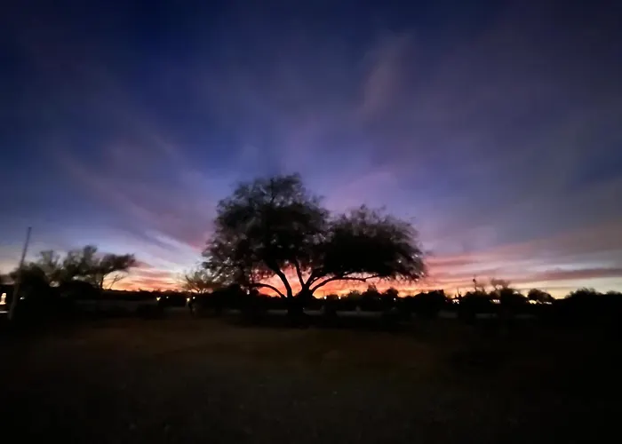 The 303 In The Desert - Whole House Rental