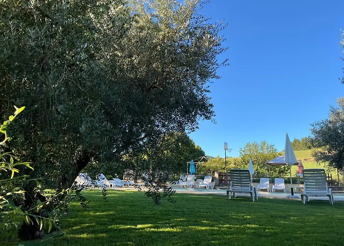 Collina Dei Fagiani