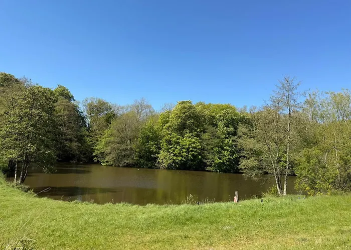 The Meadow