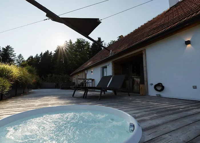 Chalet Weidehaus De Luxe