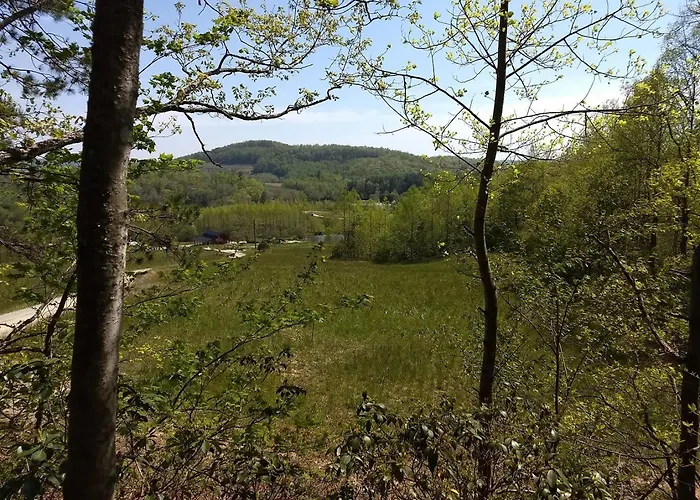 Cabin In The Woods-Peaceful 1Br 20-Acre Rural Retreat-Hottub&Wifi Near Asheville