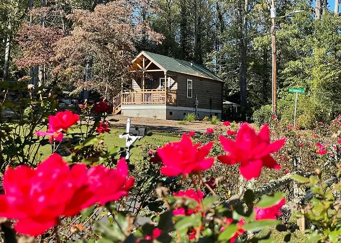 The Cabin At Edelweiss