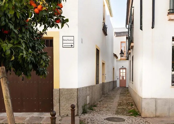 Los Patios de San Agustín