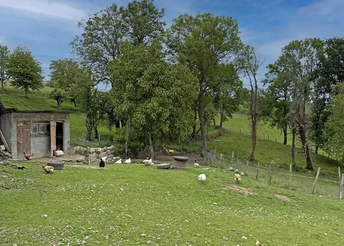Gite Confortable A La Ferme Avec Terrasse En Campagne