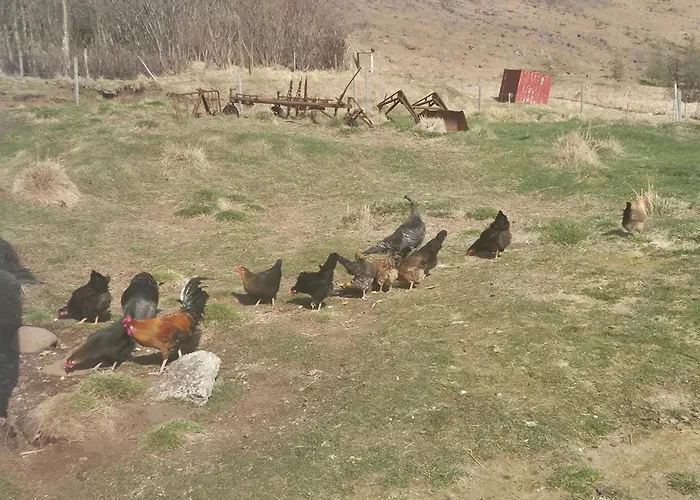 Miðjanes Reykhólahrepp