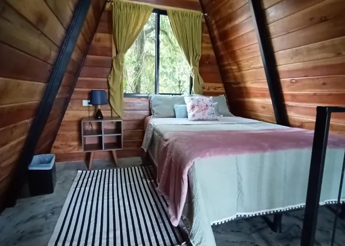 Casa Del Arbol