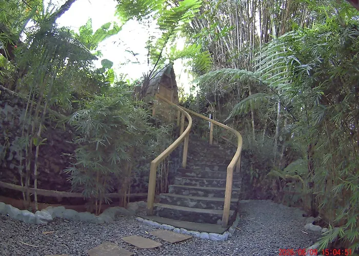 Ecobamboohouse Salacca