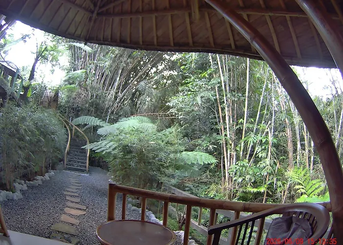 Ecobamboohouse Salacca