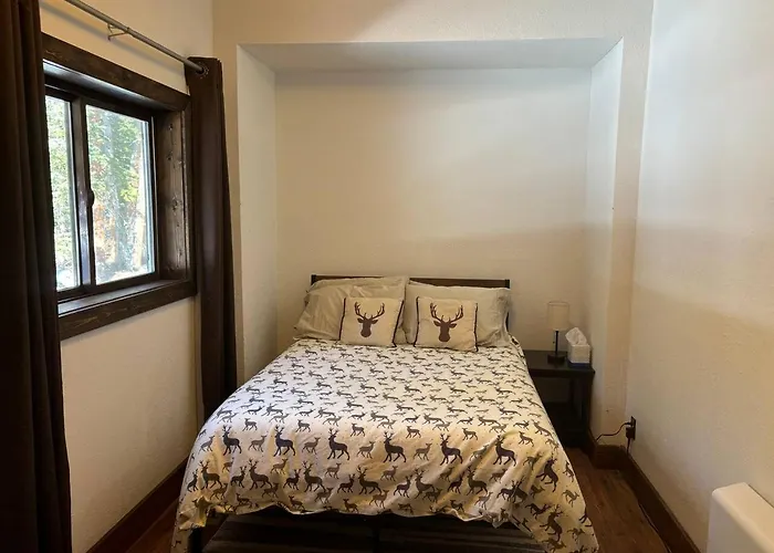 Mountain Modern 4 Bedroom Cabin On Hiking Trails
