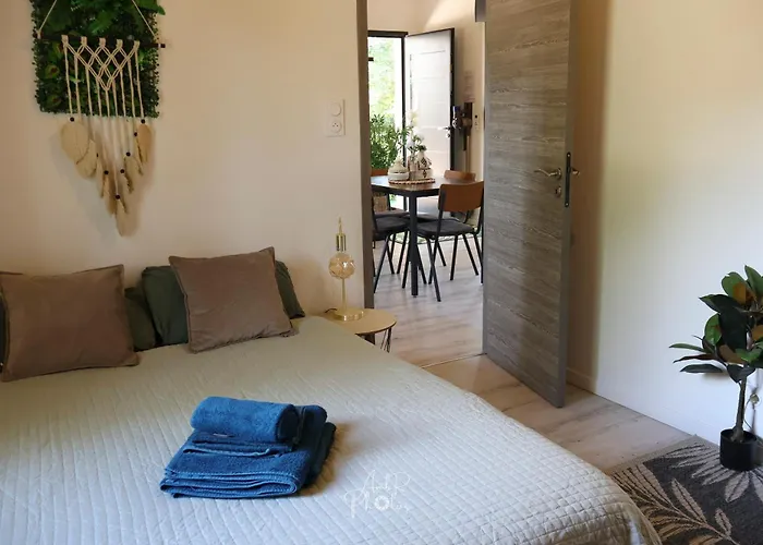 Chalet tous confort avec piscine lagon