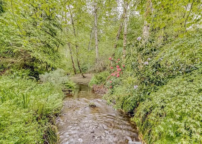 Expansive Wooded Home With A Brook Firepit Private Hot Tub And Shared Pool