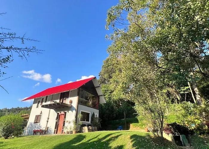 Chale Na Floresta