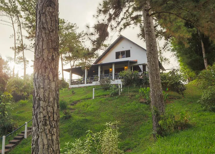 El Santuario I Shelter Among Pines L Pet Friendly