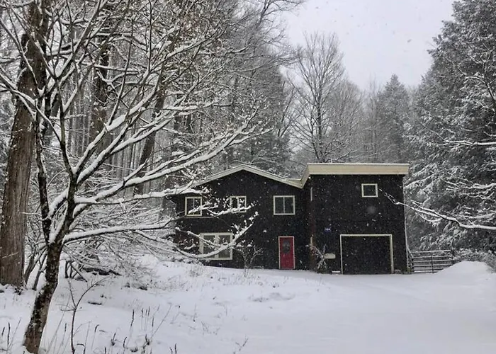 Harvey Mountain Lodge By State Forest