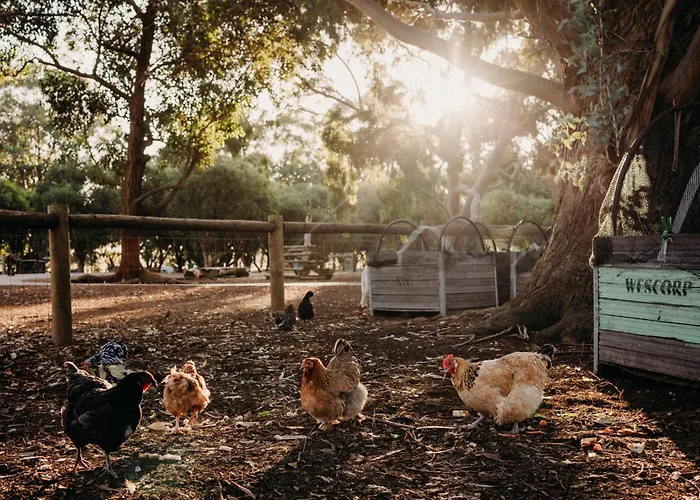 Margaret River Holiday Cottages