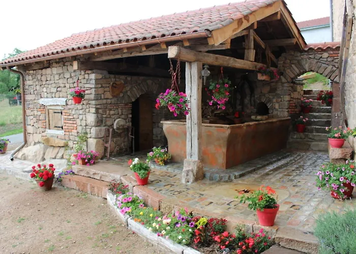 Gîte charmant avec poêle à bois, animaux acceptés - FR-1-496-137