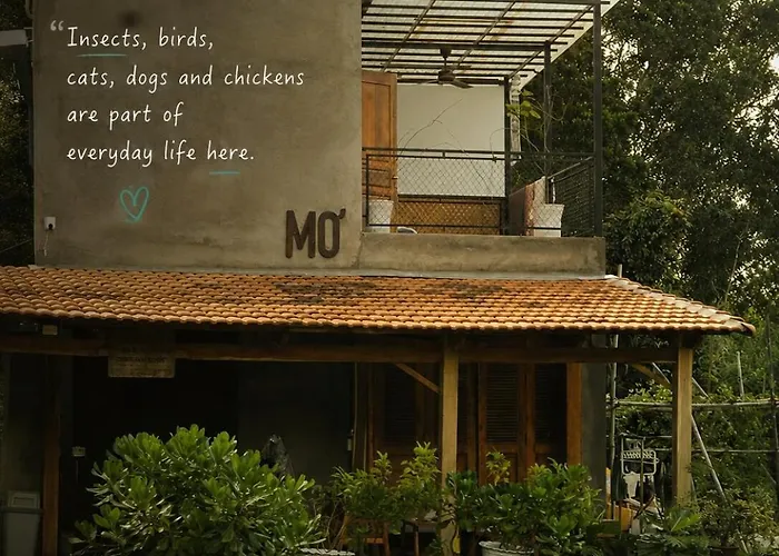Mo House Eco Homestay On Hill