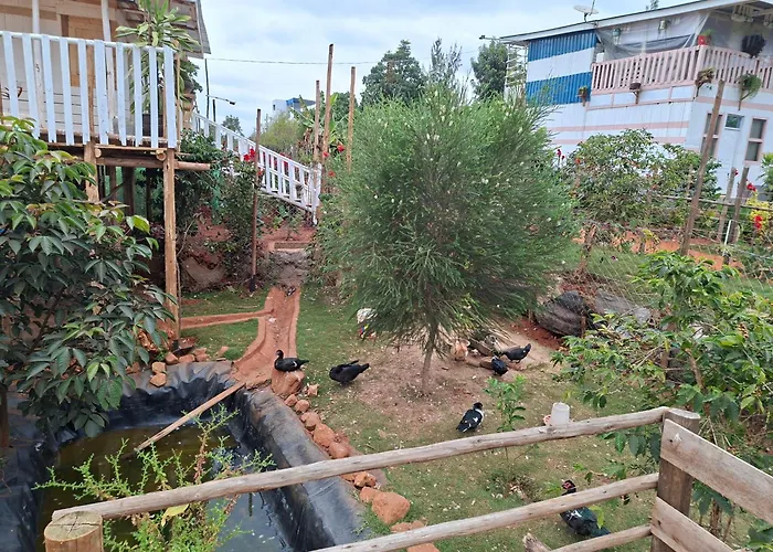 Elmadel Coffee Gardens Wooden One Bed Cottage